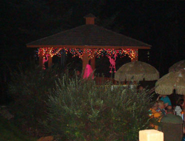 7th Annual Cheeseburger In Paradise Party